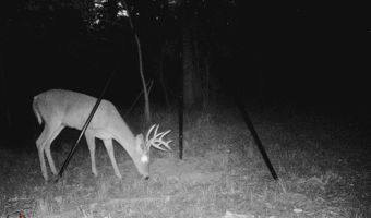 13489 S Center Point Rd, Atoka, OK 74525