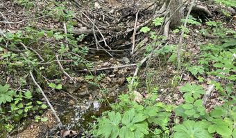 State Highway U, Ava, MO 65608