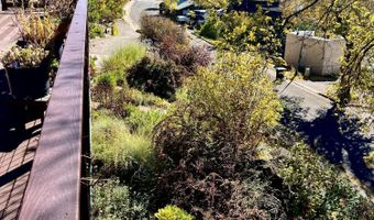 216 E Homestead Dr, Basalt, CO 81621