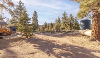 43942 Rainbow Ln, Angelus Oaks, CA 92305