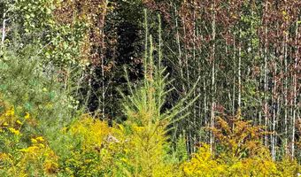 686 Wing Rd, Bethlehem, NH 03574