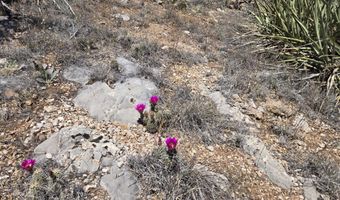 450 Arizona Rd, Ash Fork, AZ 86320