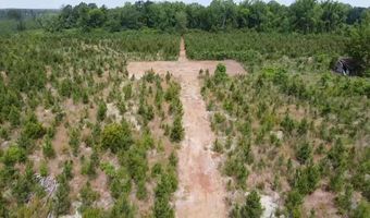 Attadale Rd lot 2, Blenheim, SC 29516