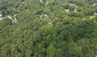 0 LANIER Pl 26.25 ac, Anniston, AL 36207