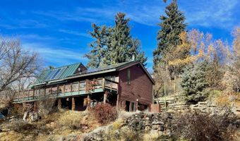 216 E Homestead Dr, Basalt, CO 81621