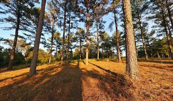 0000 Mountain View Way, Bainbridge, GA 39819