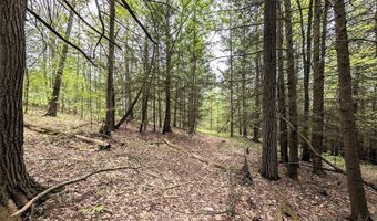 Stewart Road, Addison, NY 14801