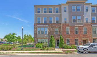 25286 GRAY POPLAR Ter, Aldie, VA 20105