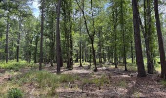 Fox Paw Court, Branchville, SC 29432
