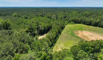Rooks Road, Atkinson, NC 28421