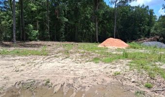 Dan Churchman Road, Axis, AL 36505