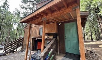 3805 The Jug Handle, Arnold, CA 95223