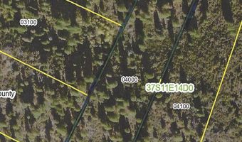 Brown Bear Lane lot 12W2, Bonanza, OR 97623