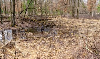Dover Drive lot 1 14 Ac, Adams, WI 53910