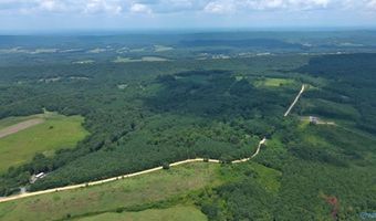 25 Acres Silo Rd, Altoona, AL 35952