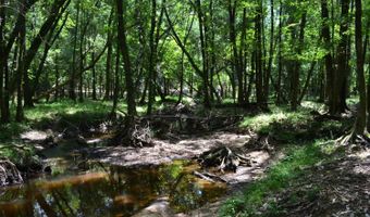 0 County Rd 22, Auburn, AL 36830