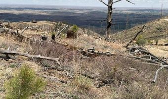 711 Saddle Ridge Rd, Bellvue, CO 80512
