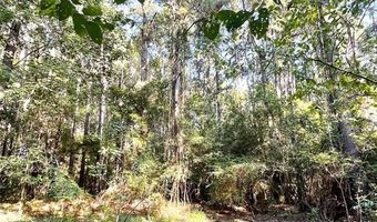Tbd FM 44 E, De Kalb, TX 75559