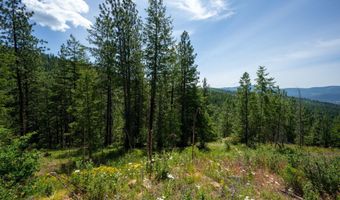 2089 Tower Mountain Rd, Blanchard, ID 83804