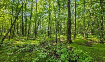 28017 303rd Pl, Aitkin, MN 56431