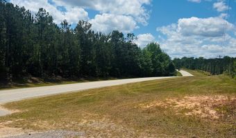 1687 Hwy 131, Baker Hill, AL 36027