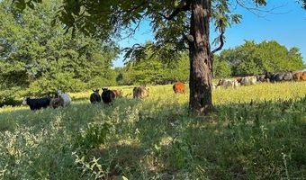 19499 E Whippoorwill Ln, Atoka, OK 74525