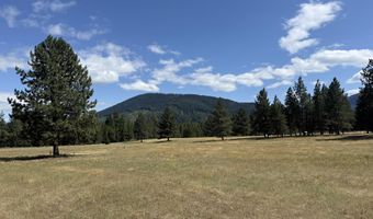 Nka Bunco Lot 3, Athol, ID 83801