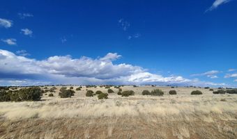 8 County Road 5203, Concho, AZ 85924