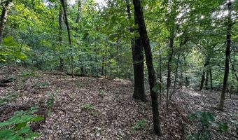 26301 S Sassafras Rdg, Afton, OK 74331