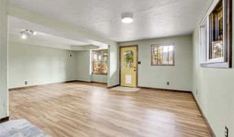 64 Elk Horn Ct, Bailey, CO 80421