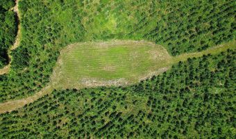 County Road 25, Banks, AL 36005