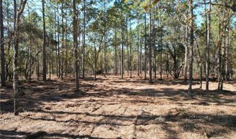 93 RD Ter, Archer, FL 32618