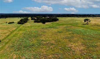 Tbd Tract 5 Fm-2819, Anderson, TX 77830