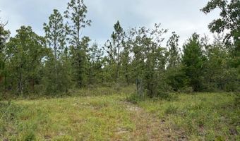 4539 NW Miller/White LN Rd, Altha, FL 32421