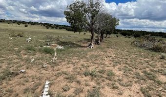 00 TBD, Concho, AZ 85924