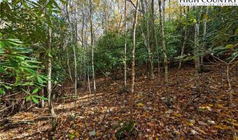 000 Pigeon Roost Rd, Banner Elk, NC 28604