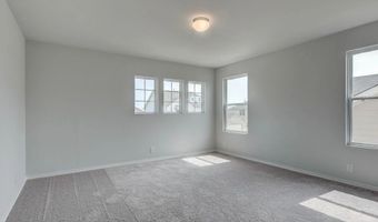 336 Bushwack Dr Plan: Colton, Adkins, TX 78101