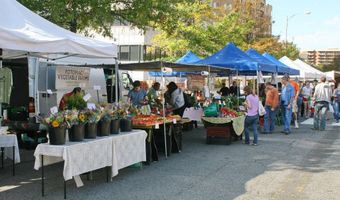 2422 14TH St N, Arlington, VA 22201