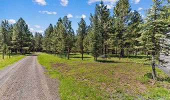 507 Bearlea Rd, Anatone, WA 99402