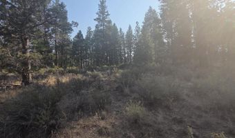 Cathy Way lot 21-23, Beatty, OR 97621
