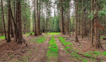 36524 E Canyon Rd, Cataldo, ID 83810