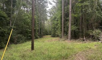 U.s. 49, Braxton, MS 39044