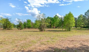 Hwy 69, Alba, TX 75410