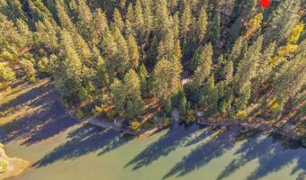 2534 Middle Dr, Arnold, CA 95223