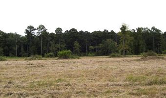 1665 Peyton Ave, Ashdown, AR 71822