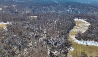 Sandy Branch Road, Bardwell, KY 42023