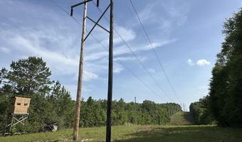 40 Ac +/- Old River Rd, Baker, FL 32531