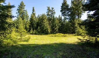 25 Starview Dr, Bigfork, MT 59911