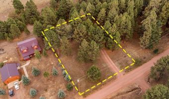 24 Co Rd 2065, Alpine, AZ 85920