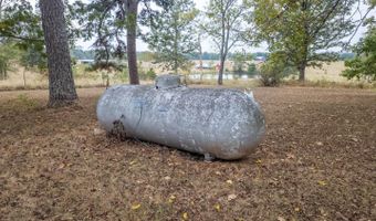 1350 County Road 405, Alton, MO 65606